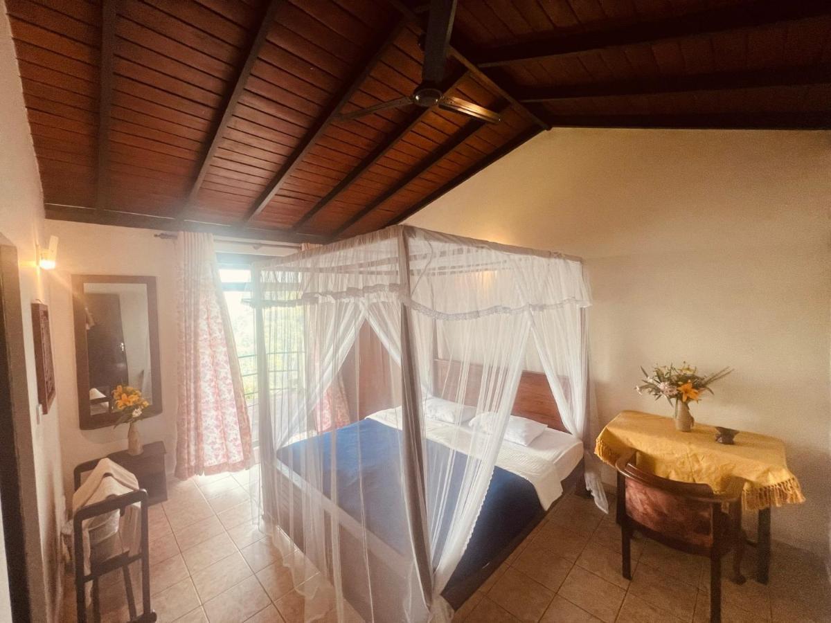 Ambiente Guest House Елла Екстер'єр фото